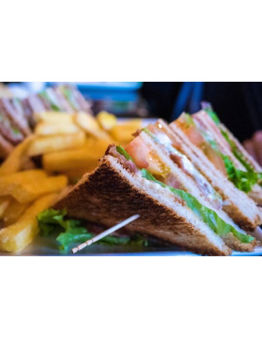 Contact grill Panini Large con placas lisas   GECID5CO