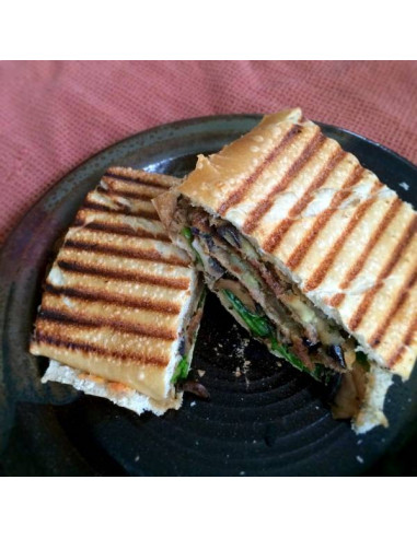 Contact grill Panini Large con placas estriada-lisa   GECID5BO