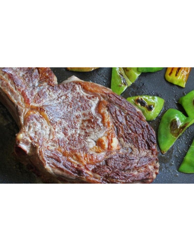 Placa inferior estriada gran grill SK0152