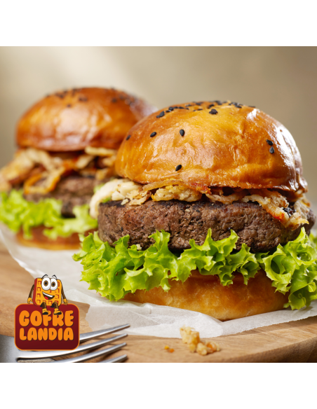 NUEVA Plancha eléctrica profesional, gama Confort con formato en profundidad PCPR2AA de acero inoxidable, 5400 W, dos zonas de c